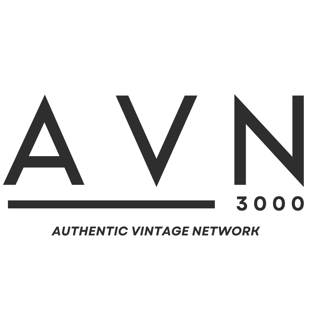 logo avn 3000